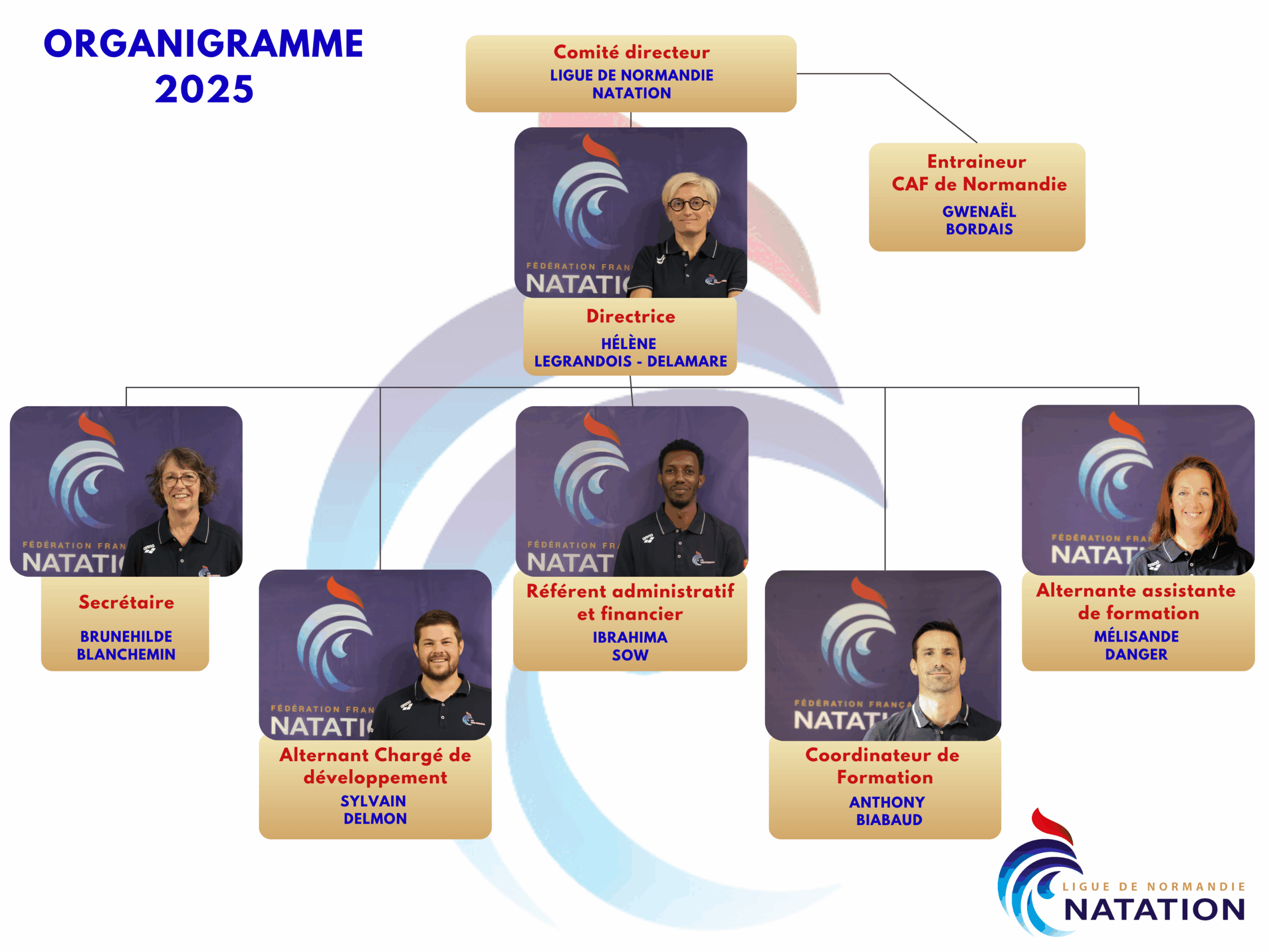 organigramme erfan normandie