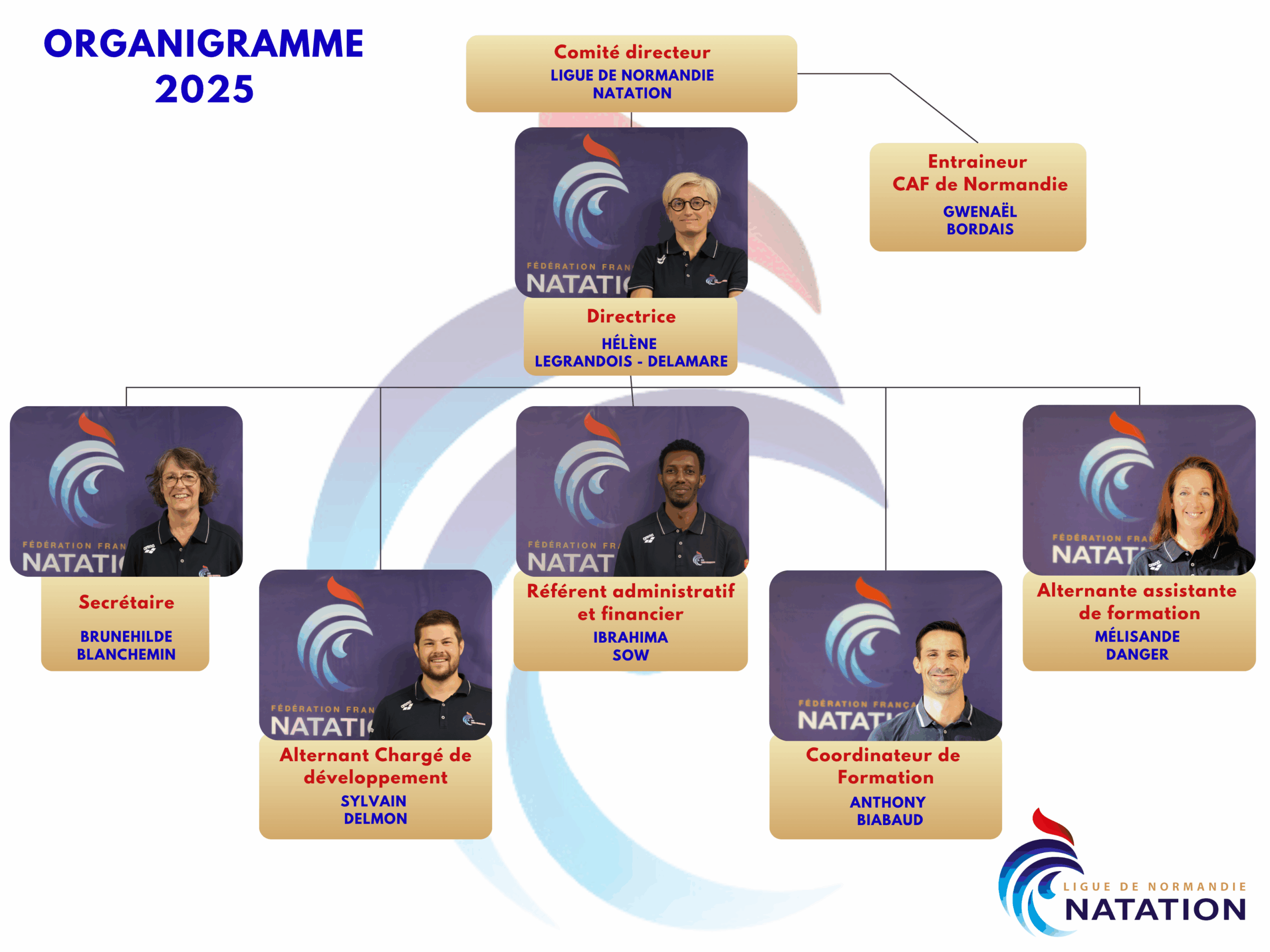 organigramme erfan normandie